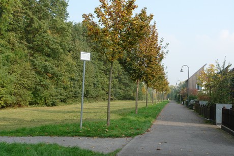 blumenberg