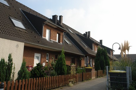 blumenberg