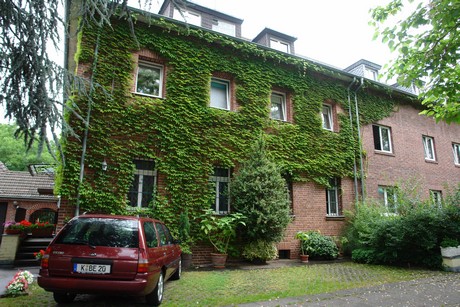 braunsfeld