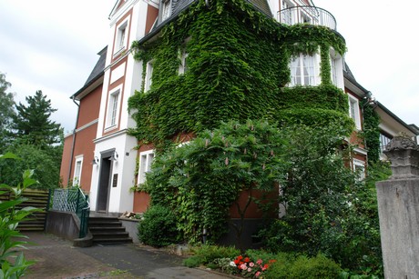 braunsfeld