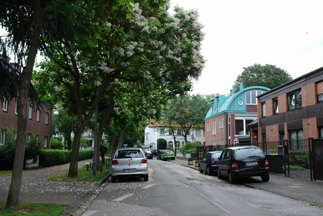 braunsfeld