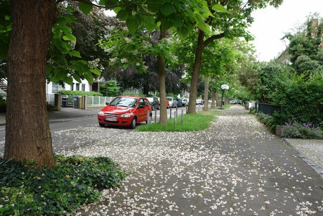 braunsfeld
