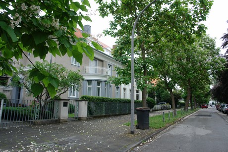 braunsfeld