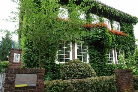 braunsfeld