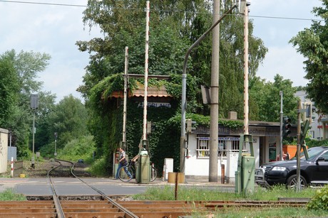braunsfeld