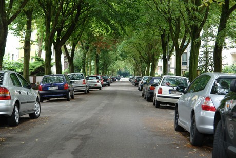 braunsfeld
