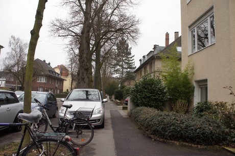 braunsfeld