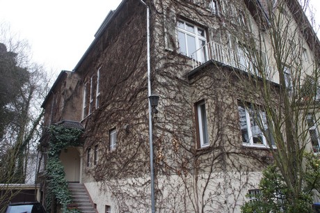 braunsfeld