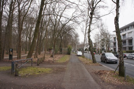 braunsfeld