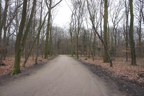 braunsfeld
