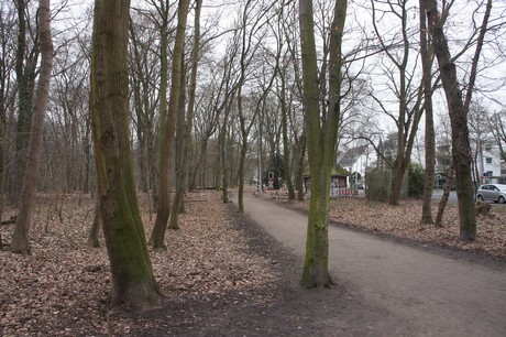 braunsfeld