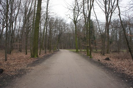 braunsfeld