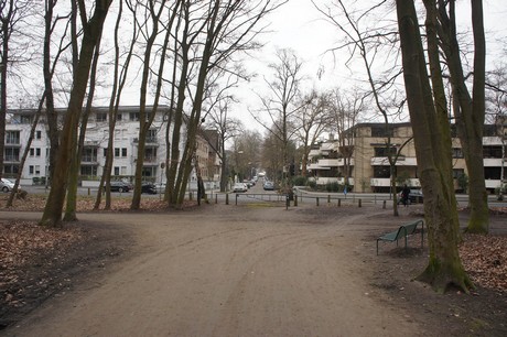 braunsfeld