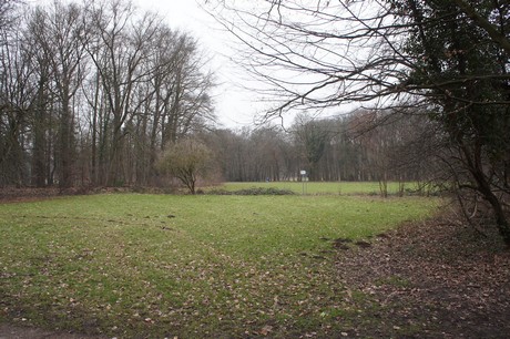 braunsfeld