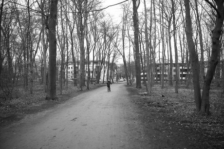 braunsfeld