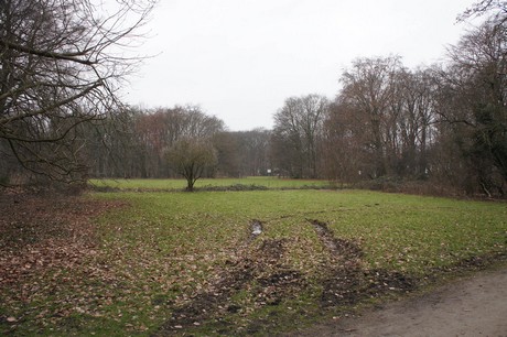 braunsfeld