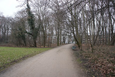 braunsfeld