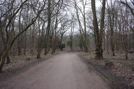braunsfeld