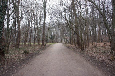 braunsfeld