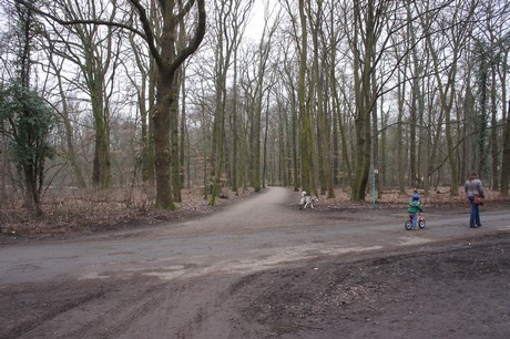 braunsfeld