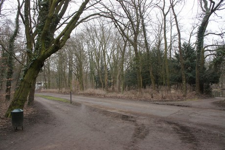 braunsfeld