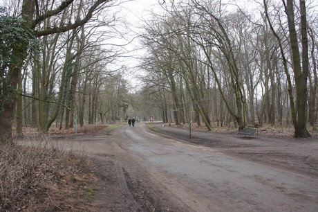 braunsfeld