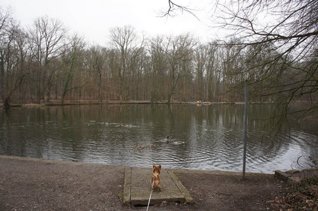 braunsfeld