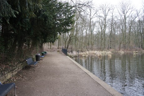 braunsfeld