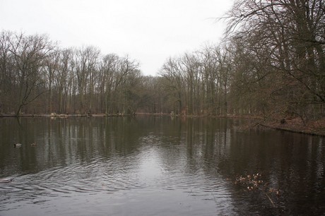 braunsfeld