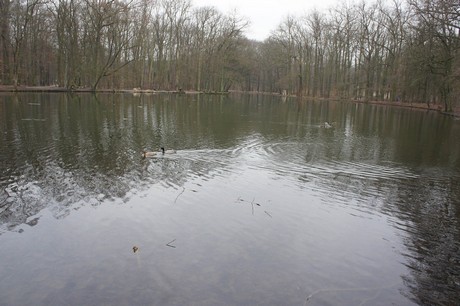 braunsfeld