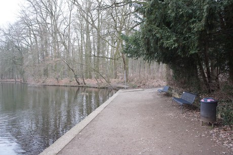 braunsfeld