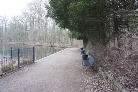 braunsfeld