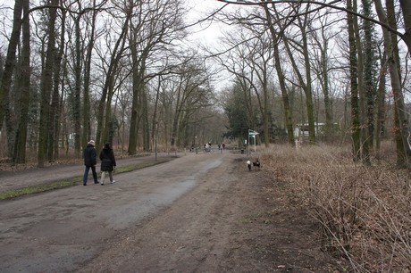 braunsfeld