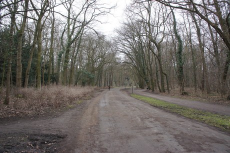braunsfeld