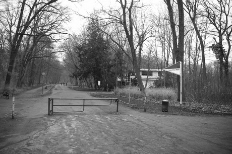 braunsfeld