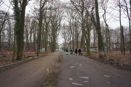 braunsfeld
