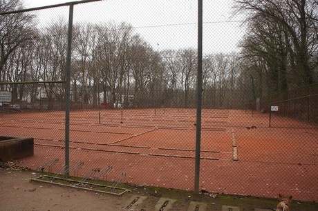 braunsfeld
