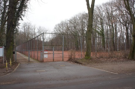 braunsfeld