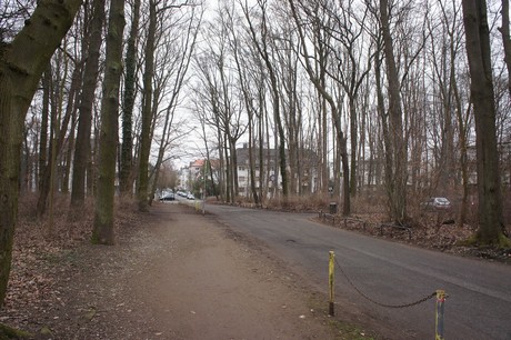 braunsfeld