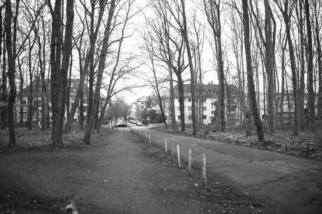 braunsfeld