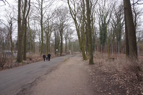 braunsfeld