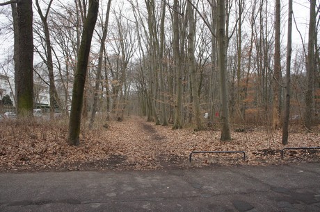 braunsfeld