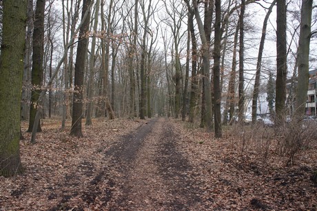 braunsfeld