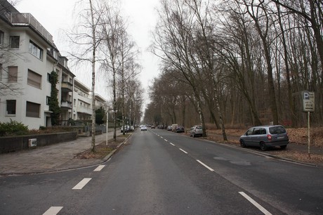 braunsfeld