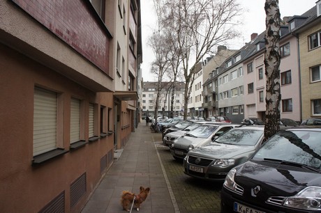 braunsfeld