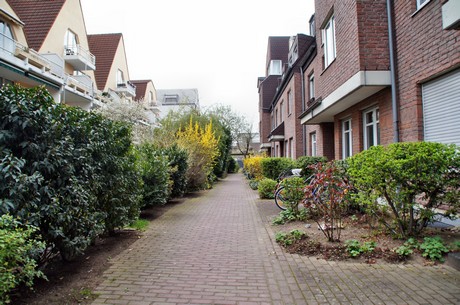 braunsfeld