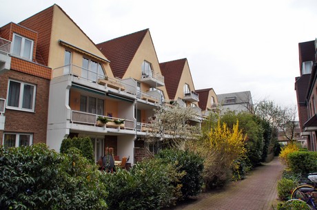 braunsfeld