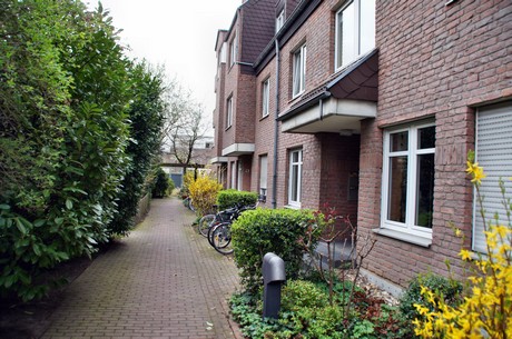 braunsfeld