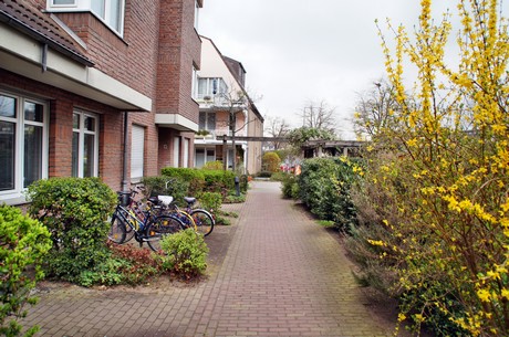 braunsfeld