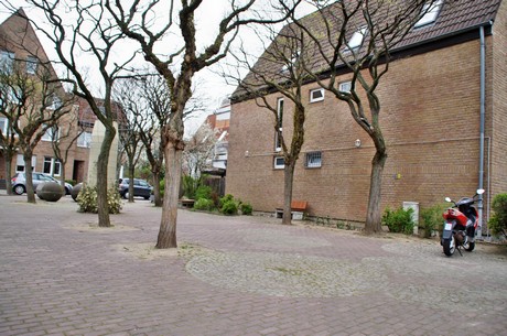 braunsfeld